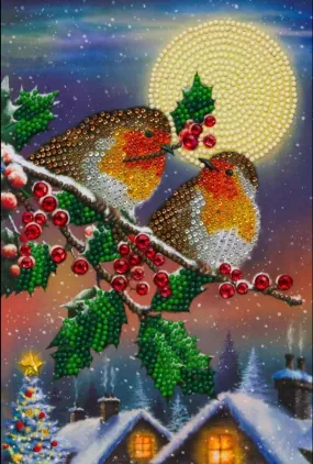 CANJ-13: "Midnight Robins"  Crystal Art Notebook