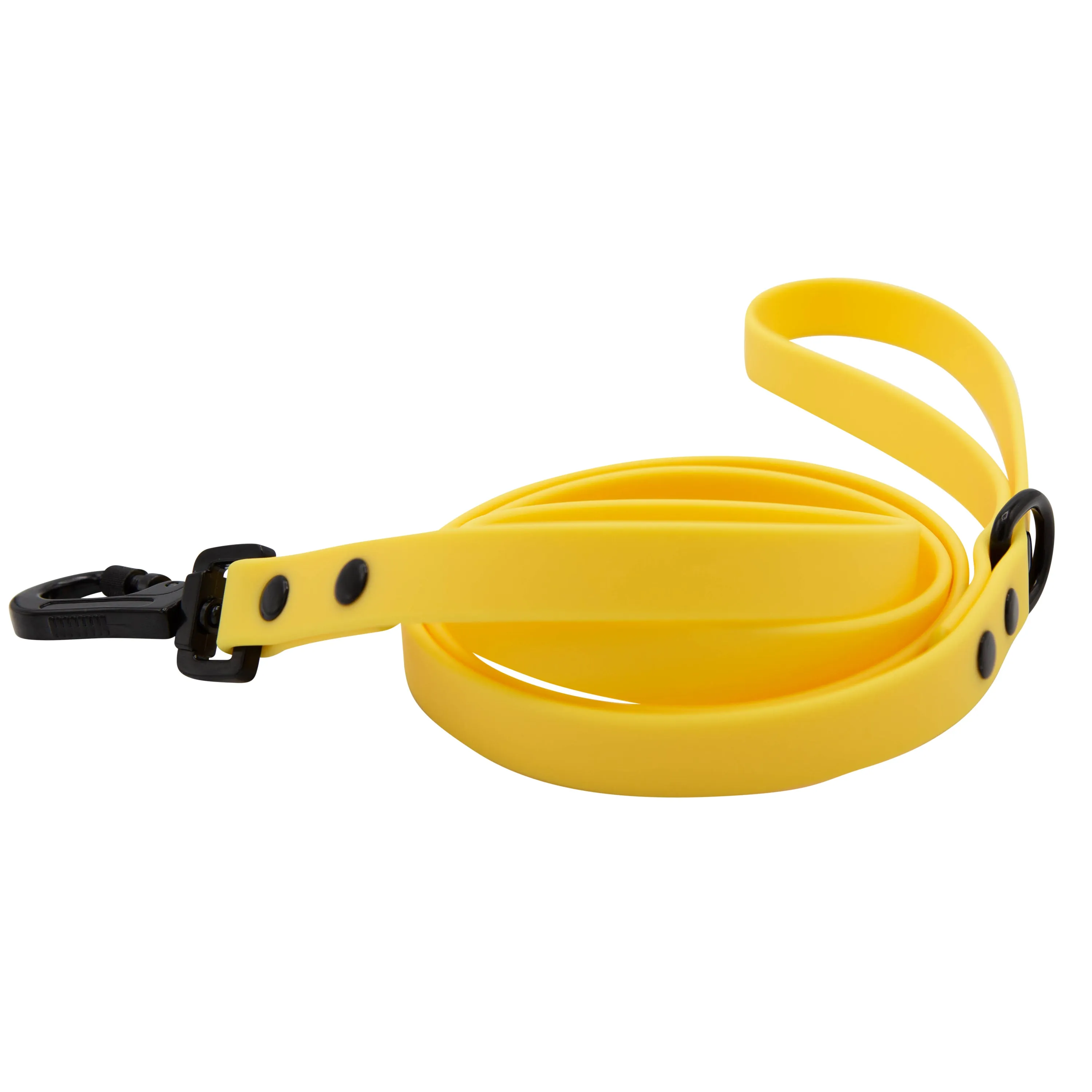 Dog Bundle - Adventure Collection (Yellow)