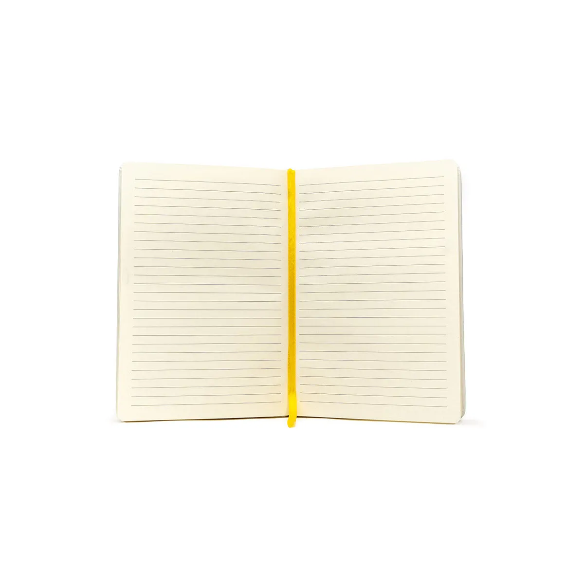 Exandria Unlimited Journal