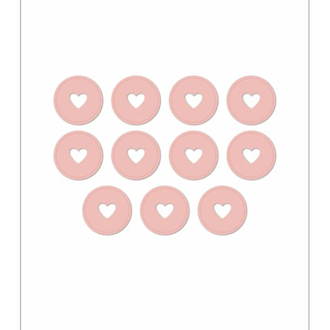 Happy Planner Blush Medium Discs