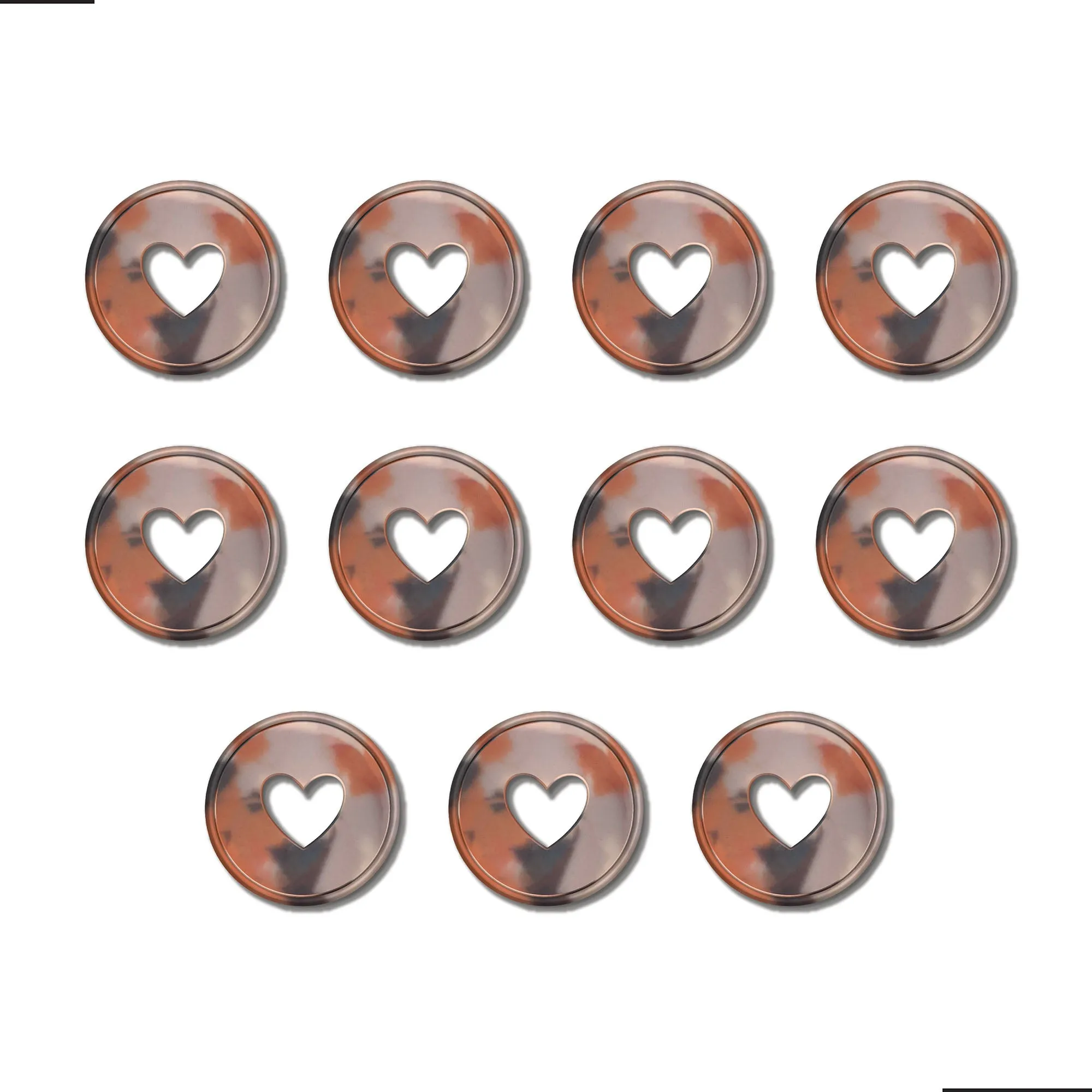 Happy Planner Blush Tortoise Shell Expander Disc