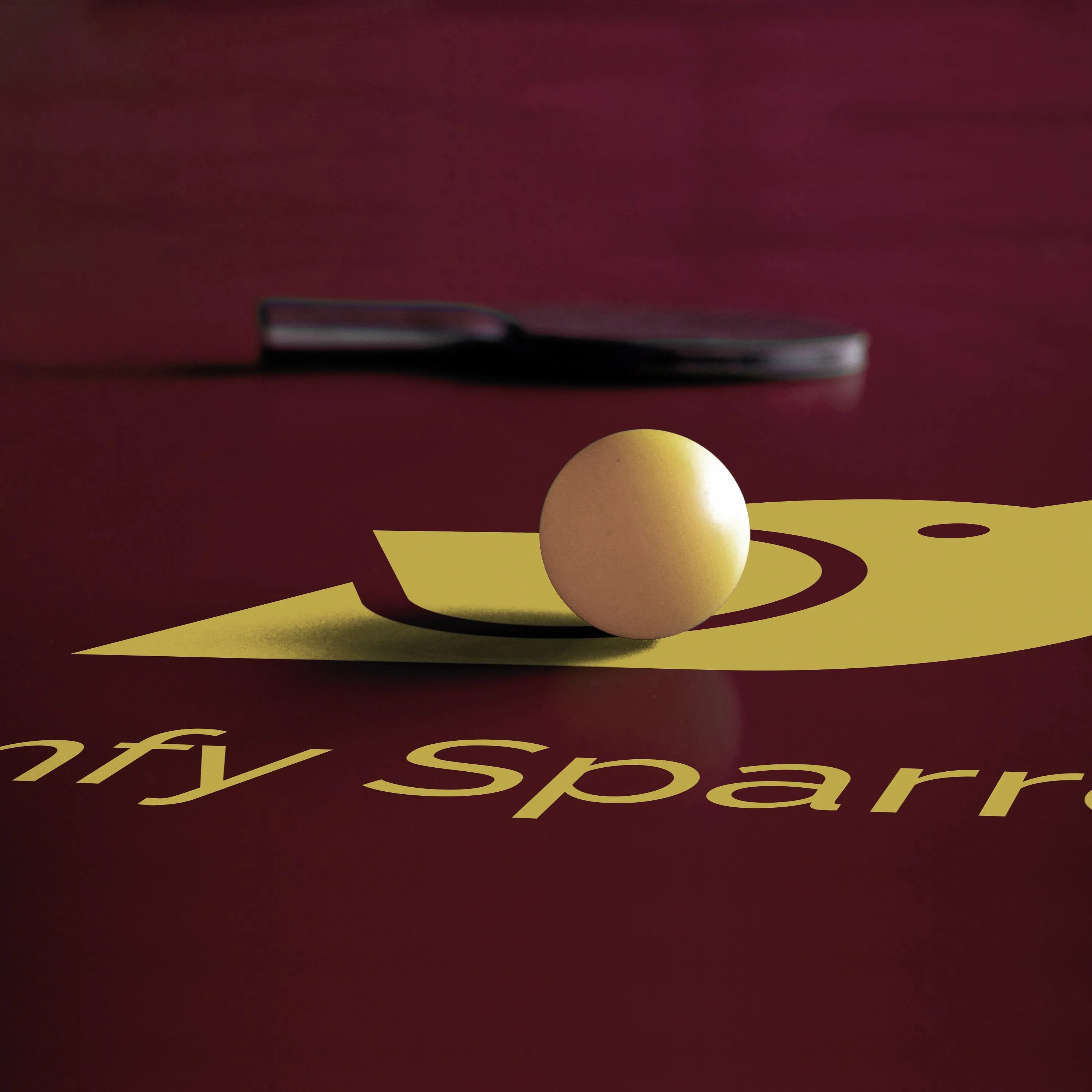Premium Wooden Table Tennis Kit with 2 Rackets, 3 Balls and a Zip Cover